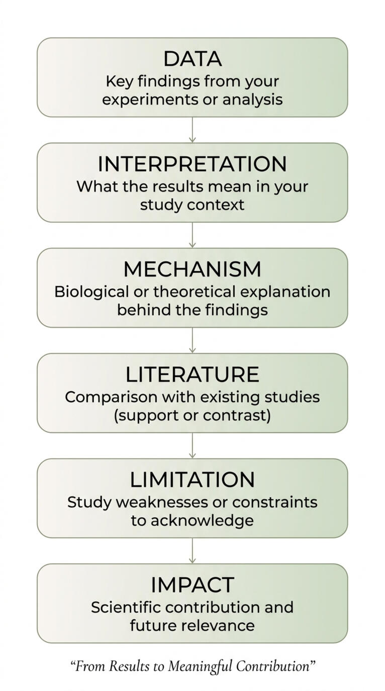 Thesis write-up framework flowchart showing data, interpretation, mechanism, literature, limitation, and impact steps for scient A minimalist vertical flowchart illustrating a thesis discussion framework used in academic and scientific writing. The diagram presents six structured steps: data (research findings), interpretation (meaning of results), mechanism (biological or theoretic